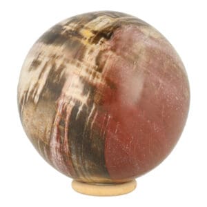 Fraaie versteend hout bol met diameter van 10cm op houten ring