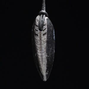 Orthoceras hanger, een gefossiliseerd pre-historisch inktvosje