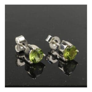 Perdioot oorbel in zilver