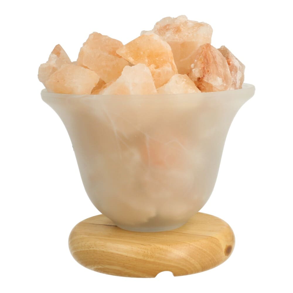 Himalaya zoutlamp schaal