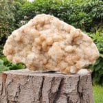 Fraaie apofyliet met roze stilzit XXL van ruim 50cm