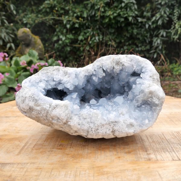 Fraai groot celestien cluster XL van maar liefst 25cm breed en heldere kristallen