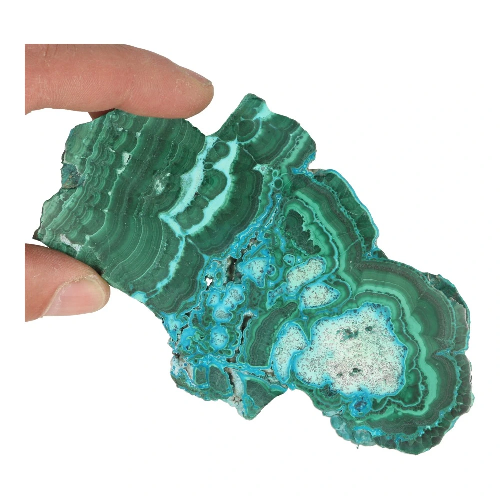 Fraai getekende malachiet schijf met chrysocolla 'nr2' uit Congo van 13cm lang - met hand