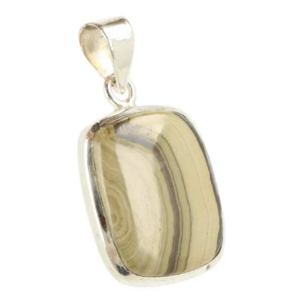 Fraai getekende scholenblende hanger in zilver