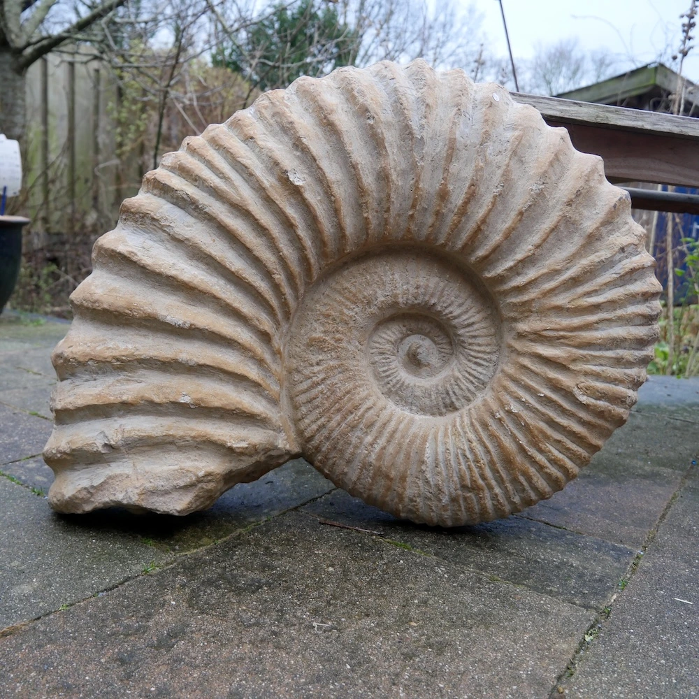 Ammoniet XXL 48kg