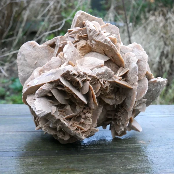 Fraaie grote woestijnroos van ruim 10kg uit Tunesië "nr1"