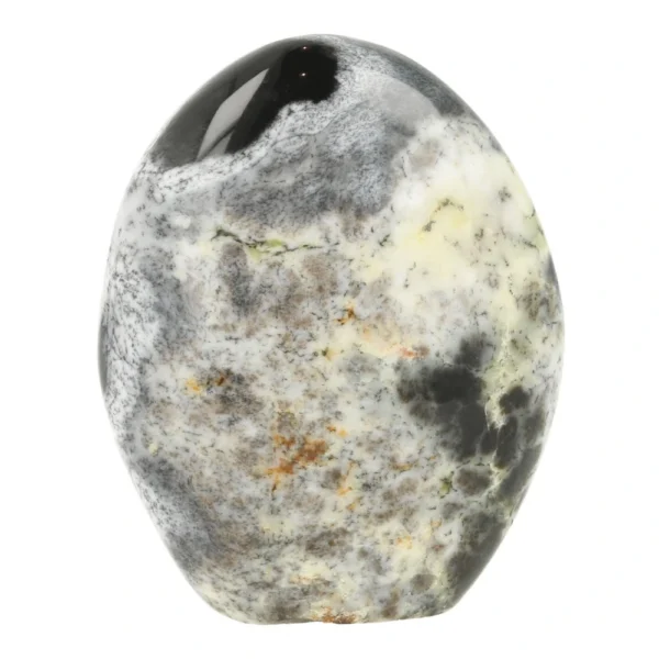 Mooie dendriet opaal vrije vorm van ruim 9cm hoog