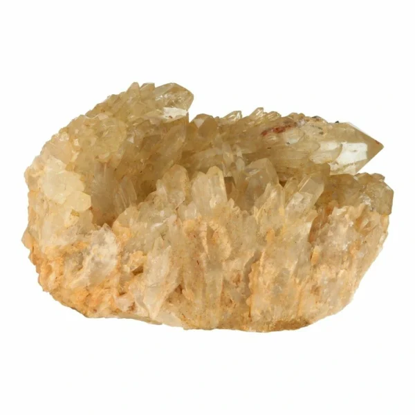 Topkwaliteit natuurlijke citrien cluster XL uit Congo