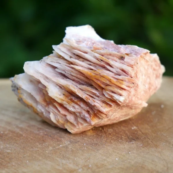 Roze bariet ruw nr6 uit Marokko
