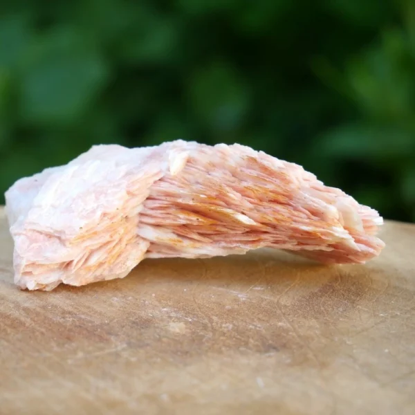 Fraaie bariet ruw nr8 uit Marokko