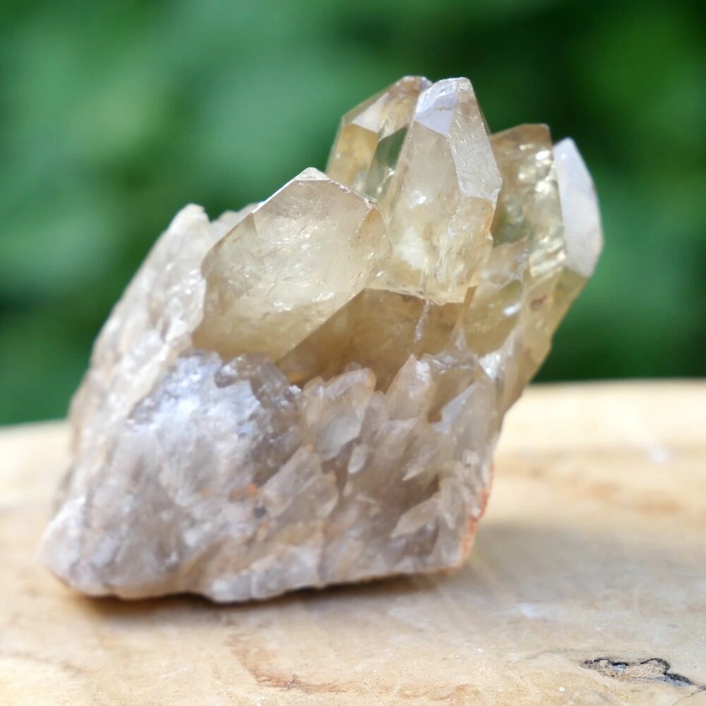 Natuurlijke citrien cluster ruw nr22