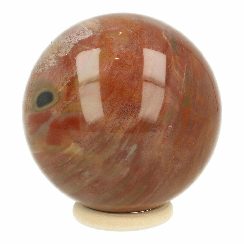 Versteend hout bol 78mm