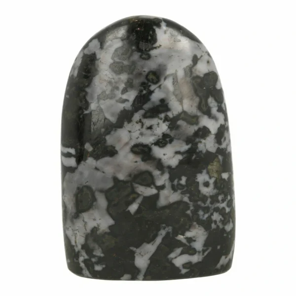 Fraaie gabbro vrije vorm van 97mm hoog