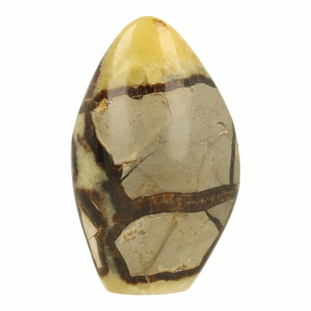Septarie vrije vorm 120mm