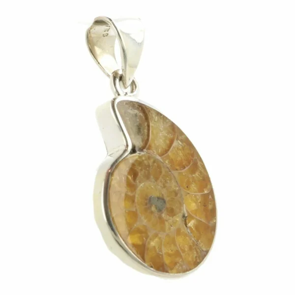 Leuke ammoniet hanger in zilver nr3