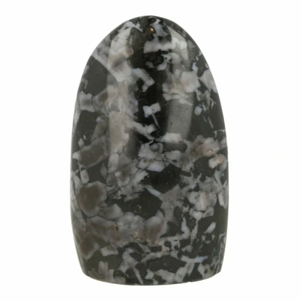 Fraaie gepolijste gabbro van 125mm hoog