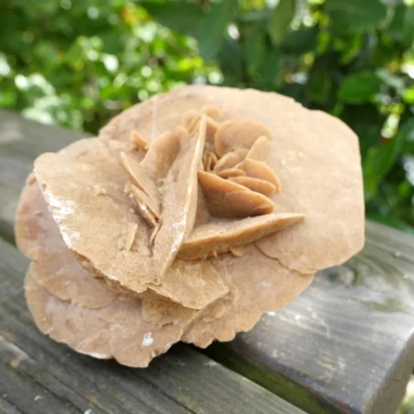 Leuke woestijnroos nr7 uit Tunesië