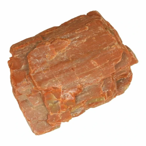 Leuk stukje ruwe versteend hout uit de Verenigde Staten van 7cm lang