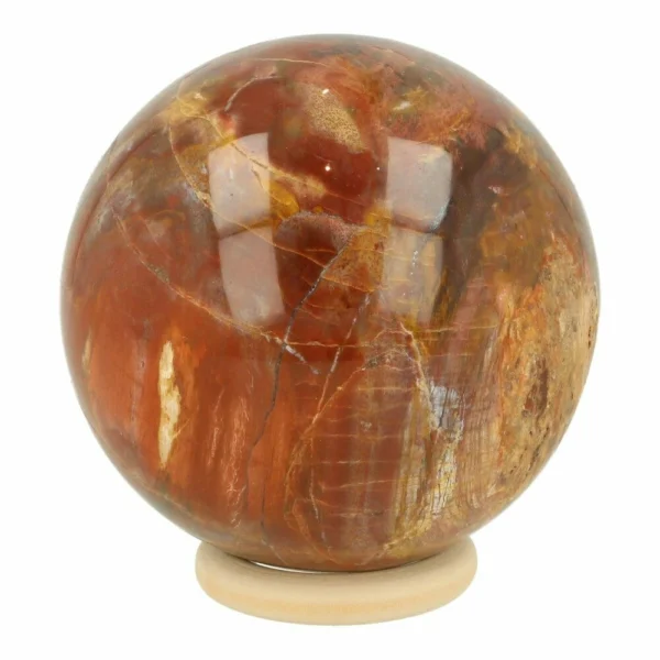 Fraaie versteend hout bol met diameter an 75mm op houten ring