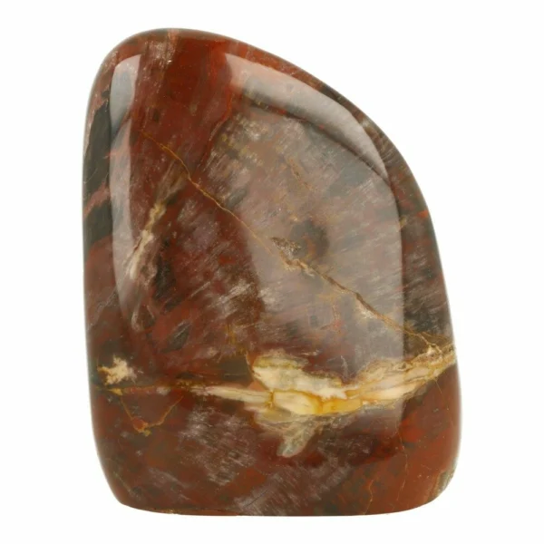 Fraaie grote versteend hout gepolijste vorm van 13cm hoog