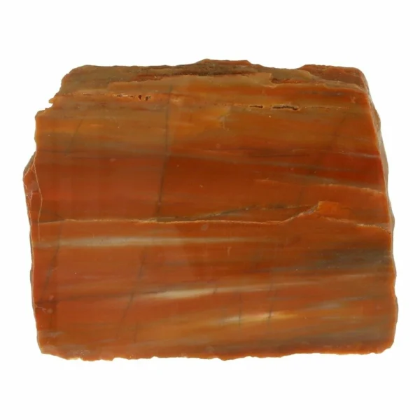 Fraai gepolijst stuk versteend hout van 9cm breed uit de Verenigde Staten