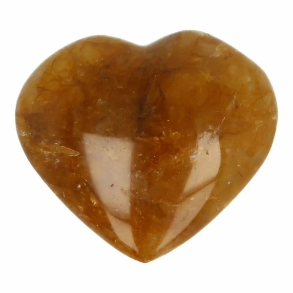 Leuk golden healer hart van 63mm breed