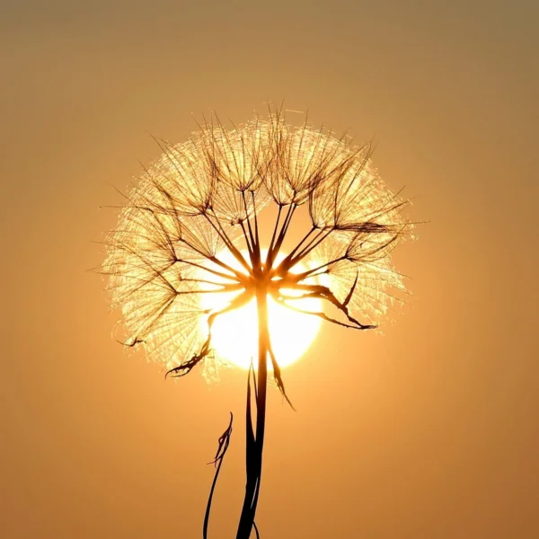 Energetisch beschermend