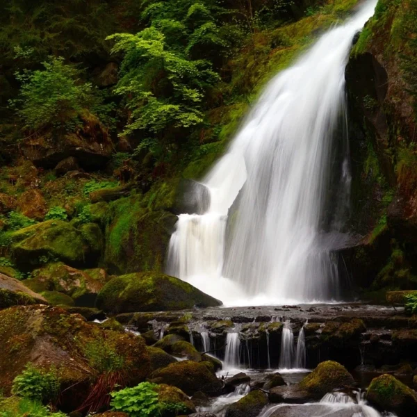 Energetisch reinigend