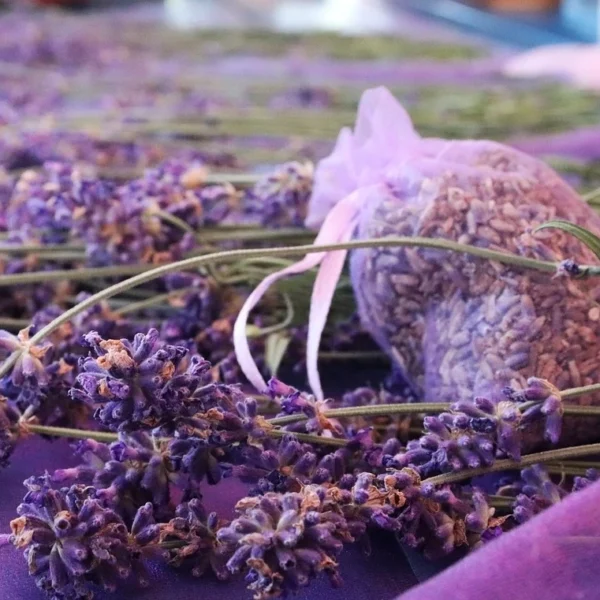 Beter slapen & nachtrust