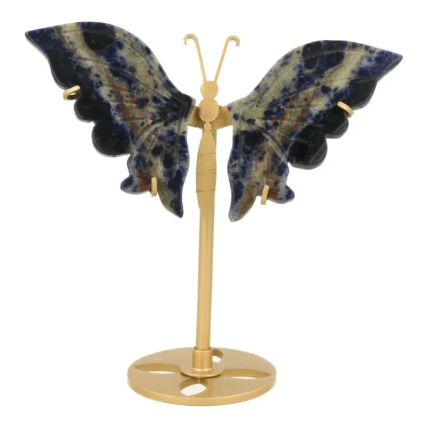 Fraaie donkere sodaliet vlinder op standaard nr1