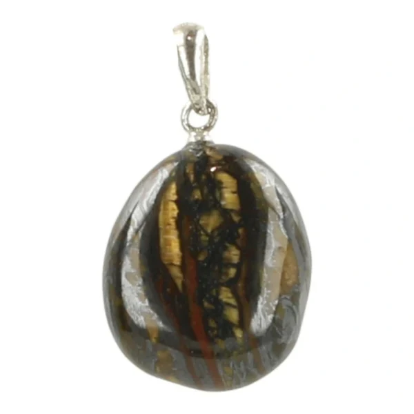 Fraaie tijgerijzer hanger met oogje van zilver