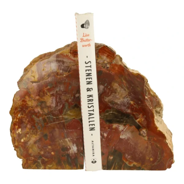 Versteend hout boekensteun van maar liefst 18cm hoog