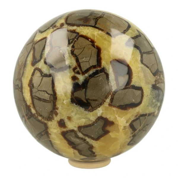 Prachtig getekende grote septarie bol van maar liefst 20cm diameter en 11,4kg gewicht.