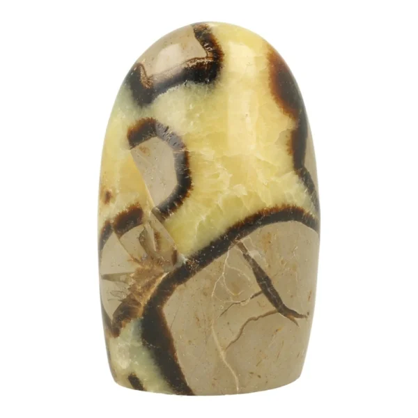 Leuke septarie vrije vorm van 95mm hoog uit Madagaskar