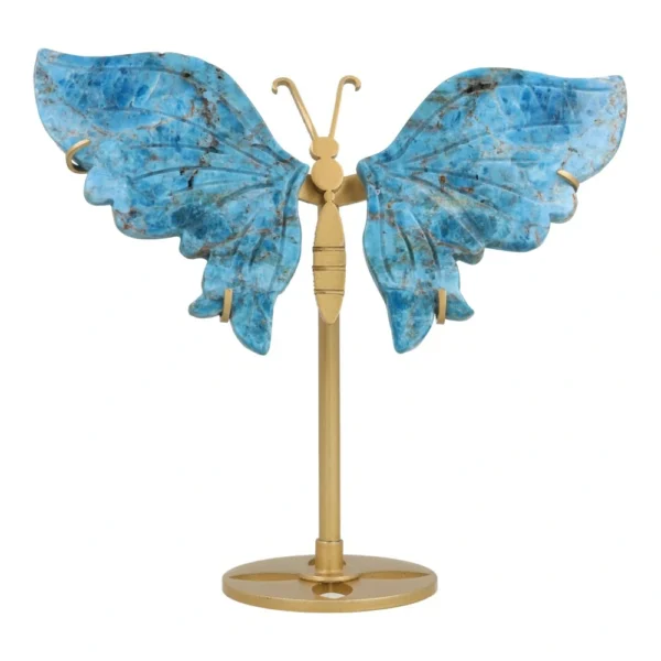 Mooie blauwe apatiet vlinder op standaard nr1