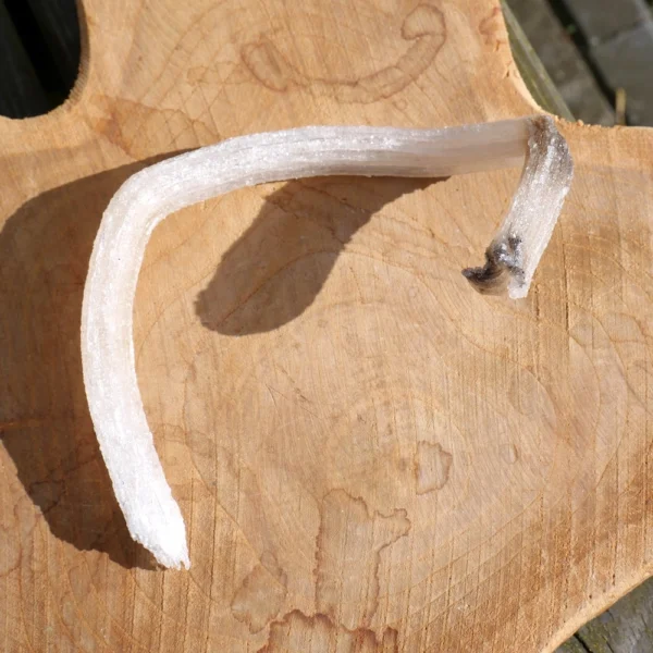 Bijzonder gevormd ramshoorn seleneit kristal nr3 uit Marokko