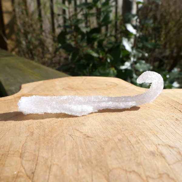 Fraai gevormde ramshoorn seleniet kristal nr7 met mooie krul en 8cm lang