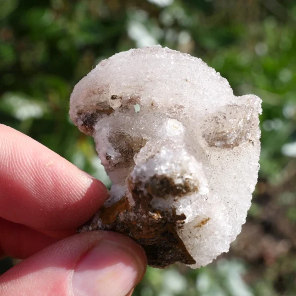 Bijzonder gevormd ramshoorn seleniet kristal nr11 uit Marokko