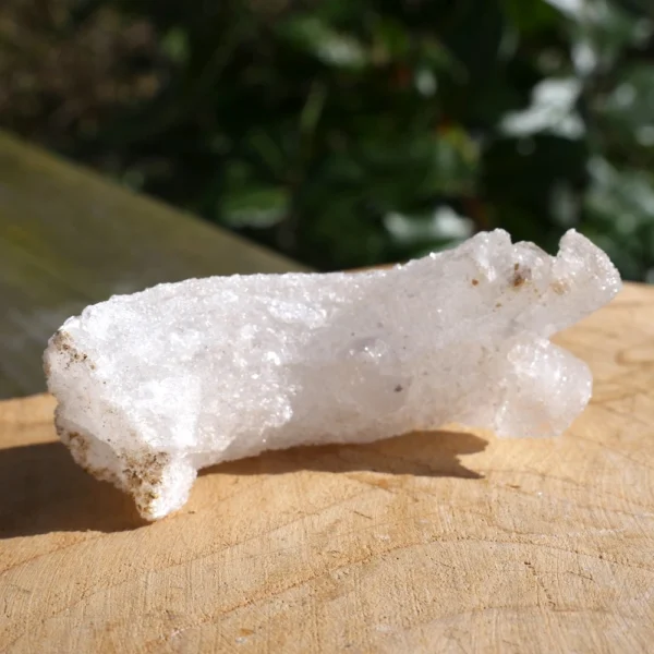 Fijn ramshoorn seleniet kristal ruw nr12 uit Marokko