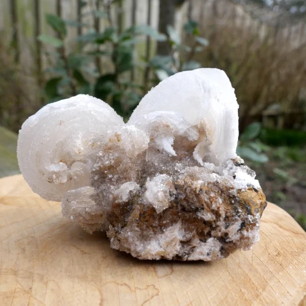 Bijzonder fraai ramshoorn seleniet cluster 'nr4' uit Marokko