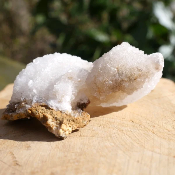 Fraai robuust ramshoorn seleniet kristal nr9 uit Marokko