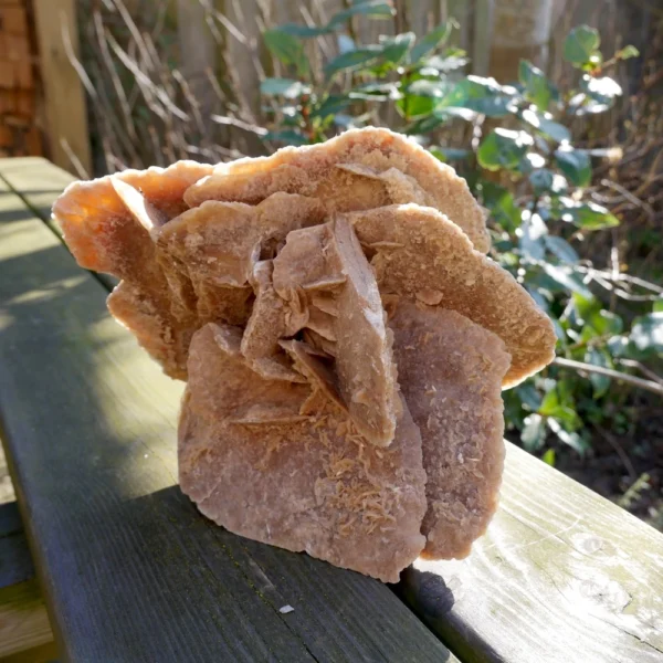 Fraaie grote woestijnroos nr3 van 21cm breed uit Tunesië